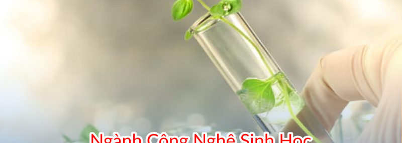 ngành công nghệ sinh học đào tạo mấy năm, thi khối gì, ra trường làm gì, lấy bao nhiêu điểm
