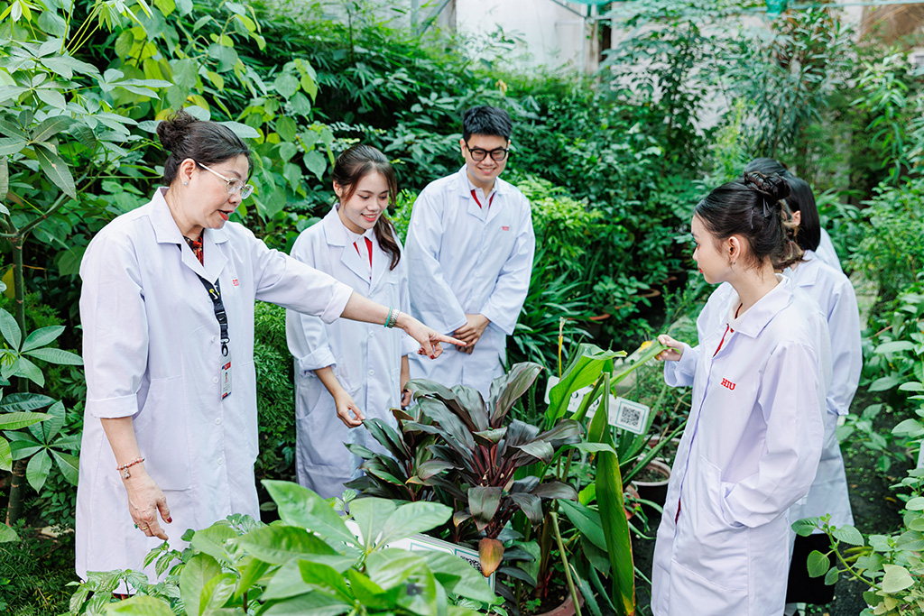 Sinh viên học tập tại Vườn Dược liệu của Trường Đại học Quốc tế Hồng Bàng